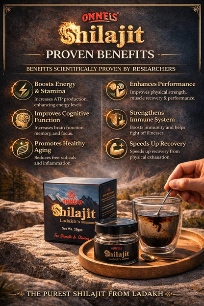 ONNEIS LADAKH SHILAJIT RESIN 20 GRAMS